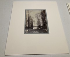 CONSTANT ALEXANDRE FAMIN albumen (Pond and Farmer’s Wife) Fontainebleau Forest