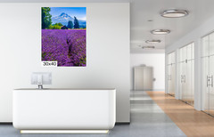 Serenity Blooms: Mt Hood Lavender Fields Wall Art Portrait Metal Canvas Print