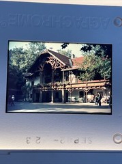 Lot Of 40 Vintage Turkey Amsterdam Vacation Amazing 35mm Color Slides ct41
