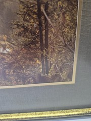 Photograpic Art Peace In The Valley Church Steeple Betsy Weloris 21.5 X 17.5