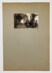 Signed Rudolf EICKEMEYER Southern Palms, 1921 Silver Print Photo