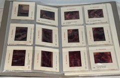 Vintage Slides Sets- Spain/Color – El Escorial, St Teresa and More