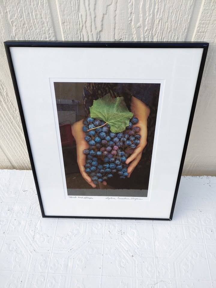 «Hands and Grapes»Sylvia Ernestina Vergara Photography Art 12″x15″Framed. PR2-11