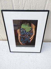 «Hands and Grapes»Sylvia Ernestina Vergara Photography Art 12″x15″Framed. PR2-11