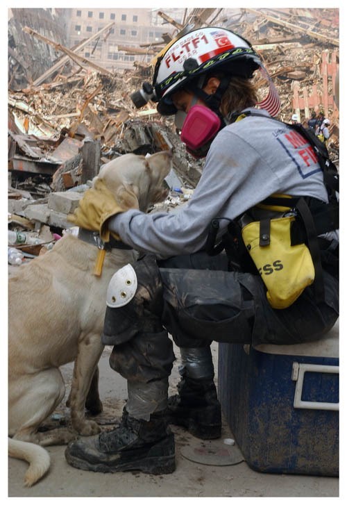 World Trade Center 9/11 Rescue Dog And Worker Silver Halide Photo