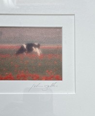 Vintage John Galbo Signed NOORD HOLLAND Panoramic Cow Pasture Art Framed Matted