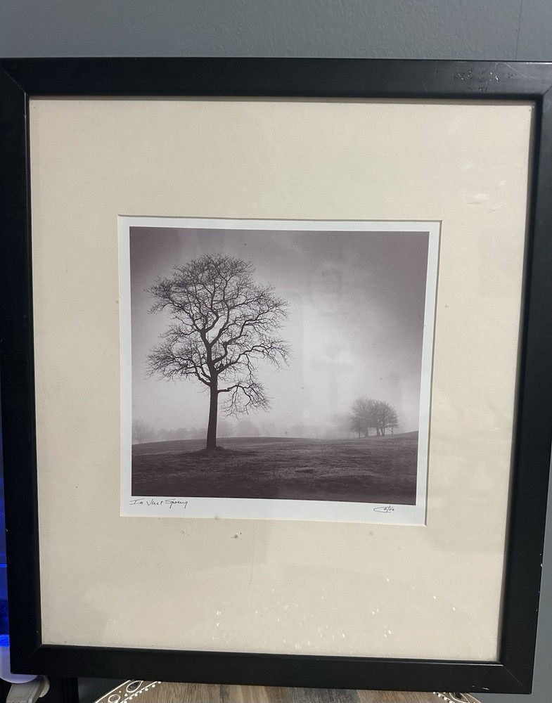 Richard Calvo ‘In Just Spring’ Framed Black & White Landscape Tree Photograph