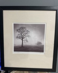Richard Calvo ‘In Just Spring’ Framed Black & White Landscape Tree Photograph