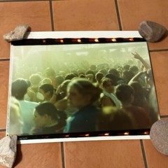 Janine Gordon Photograph 20×24″ C-print Edition Mosh Pit Signed Warped Tour