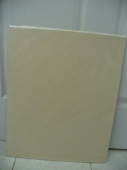 MATTED PHOTOGRAPHY Gainesville Chamber Orchestra 25th By Larry Santucci 16×20