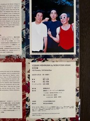 Yoshiki Hishinuma & Nobuyoshi Araki 100 Flowers , 100 Butterflies Out of print