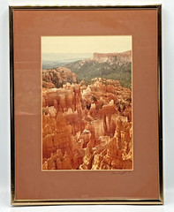 Bryce Canyon “Forest of Rocks Arial Photography 1984 Alan Proffitt 11×14 Framed