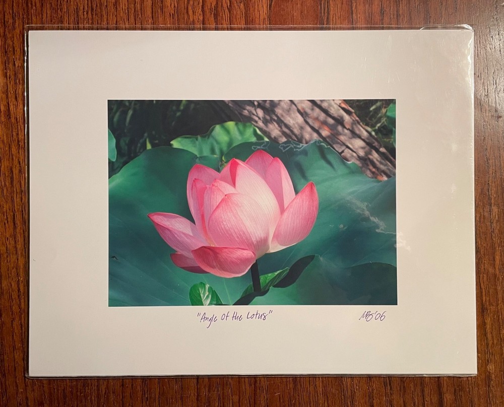 Original photographic print «Angle of the Lotus» by Michael Blumenstock