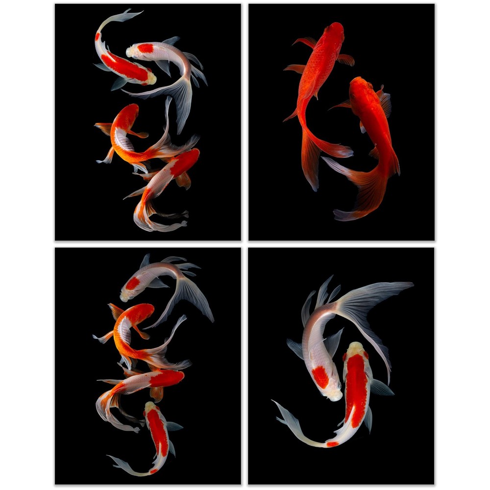 Crystal Canvas Prints Koi Fish Photography Prints – Set of 4 (11×14) Inches G…