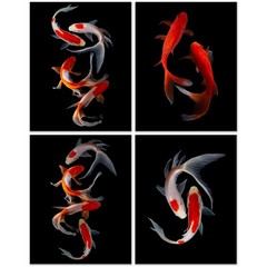 Crystal Canvas Prints Koi Fish Photography Prints – Set of 4 (11×14) Inches G…