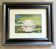 ORIGINAL R VAN LOO JR WATER LILLY SIGNED PHOTO PRINT FRAMED AND MATTED 13″x11″