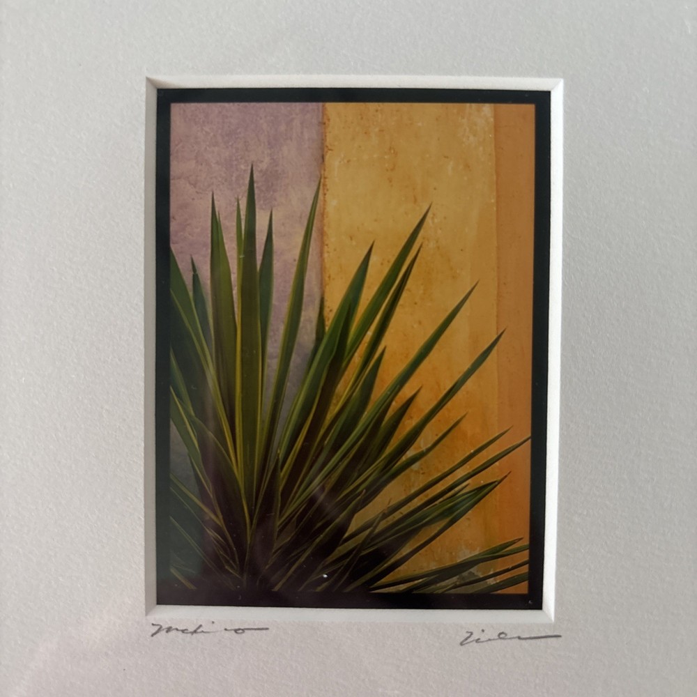 Framed Art Tlaquepaque Bouquet Mexico by Jim Nilsen Signed Minimalist 7” x 7”