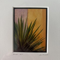 Framed Art Tlaquepaque Bouquet Mexico by Jim Nilsen Signed Minimalist 7” x 7”