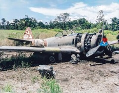 WW2 Colorized Nakajima Ki-43 II Otsu Hayabusa (Oscar) 248 Sentai in PNG 1944