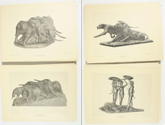 1927 Carl Akeley Photo Set Field Museum Natural History IL Taxidermy & Sculpture