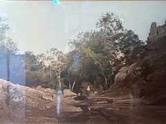 c.1900 Hand-Tinted Albumen Photograph Indigenous Landscape in Burr-Walnut Frame