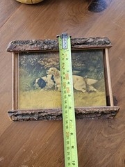 Vintage Gustavo Muss Arnolt British Spaniels Hunting Dogs In Rustic Bark Frame