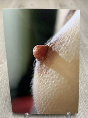 Contemporary Artistic Nude 4×6 Photograph Fine Art Color Print Female Study