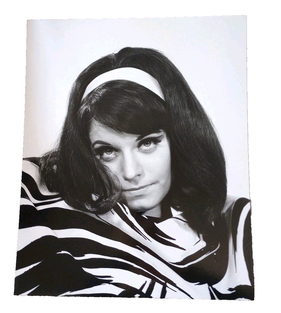 1968 Mounted Photo 16 x 20 Groovy Girl 60s Zebra Stripes Brunette B&W Photo OOAK