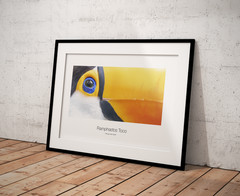 multiple original artwork photography from Argentina and Brazil