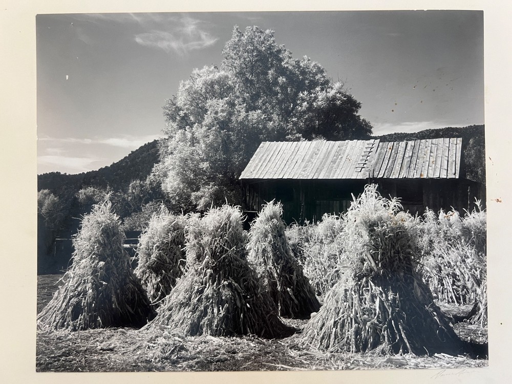 2 days Rare Find ! Signed Ansel Adam Original Photograph, gift for art lovers.