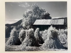 2 days Rare Find ! Signed Ansel Adam Original Photograph, gift for art lovers.