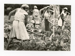 Mario Giacomelli Italy Photo La Buona Terra 1960s Vintage Humanism Italian