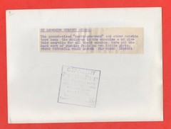 Original Photograph – St Leonards Nursery – United Kingdom