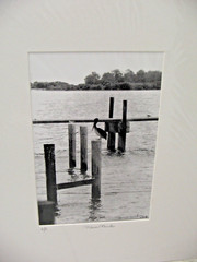 ART PHOTOGRAPHY 16×20 Pelican Perch B&W A/P Matte Acid Free by Larry Santucci