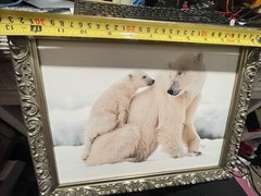 No glass plastic frame Polar Bear with Cub Wall Art 13″Lx10″Hx2″D(K5