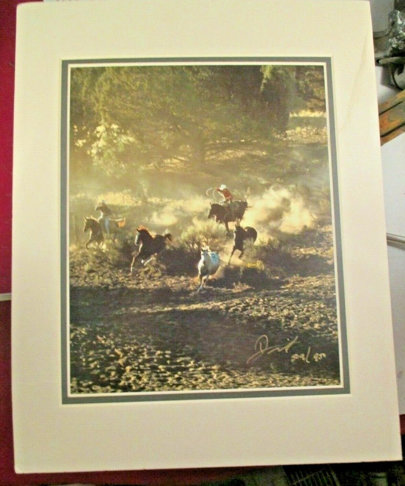 Don Schimmel Photo Signed & Numbered, Cowboys Roundup of Horses GET EM
