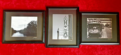 Set of 3 – Jim White Photographs Framed Signed Tampa Theater Black White Sign