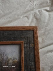 Tim DePuydt Framed Moose Photo Print 18×31 Rustic Montana Cabin Wildlife Art VTG