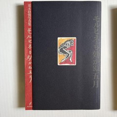 Nobuyoshi Araki Photo Collection Book «Morphine Doesn’t Work in May» Landscape