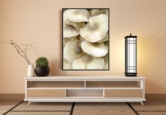 Mushroom Bouquet – Home Decor, Wall Art, Bar Art, Bathroom Bedroom Photography