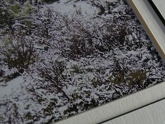 JUDY DEIST PHOTOGRAPH RIDERS IN SNOWY SAGE OPEN EDITION