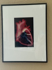 Abstract Photo Litho Matted & Framed ’82 Limit Edition 114/150 Alex Pietersen.
