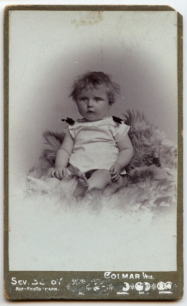 Lot 7 Studio Portraits CDV Children – Old Photos 19th century