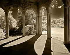 Beautiful 11×14 infrared photo. Mounted on 11×14 board great for framing.