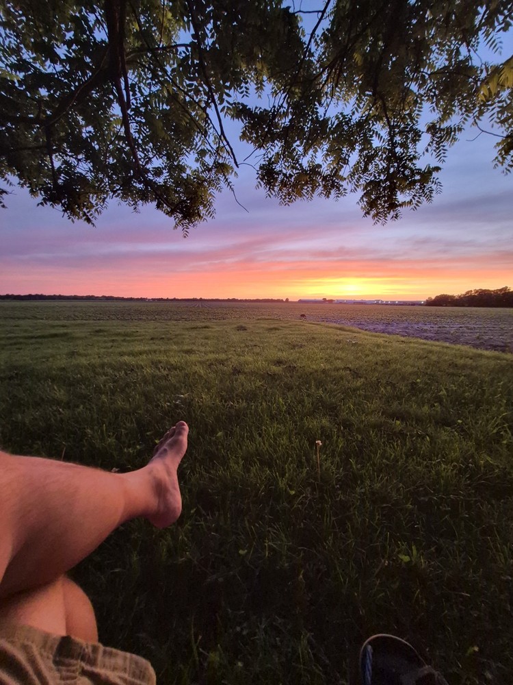 Color Landscape Photograph of Sunset Field Landscape with Tree