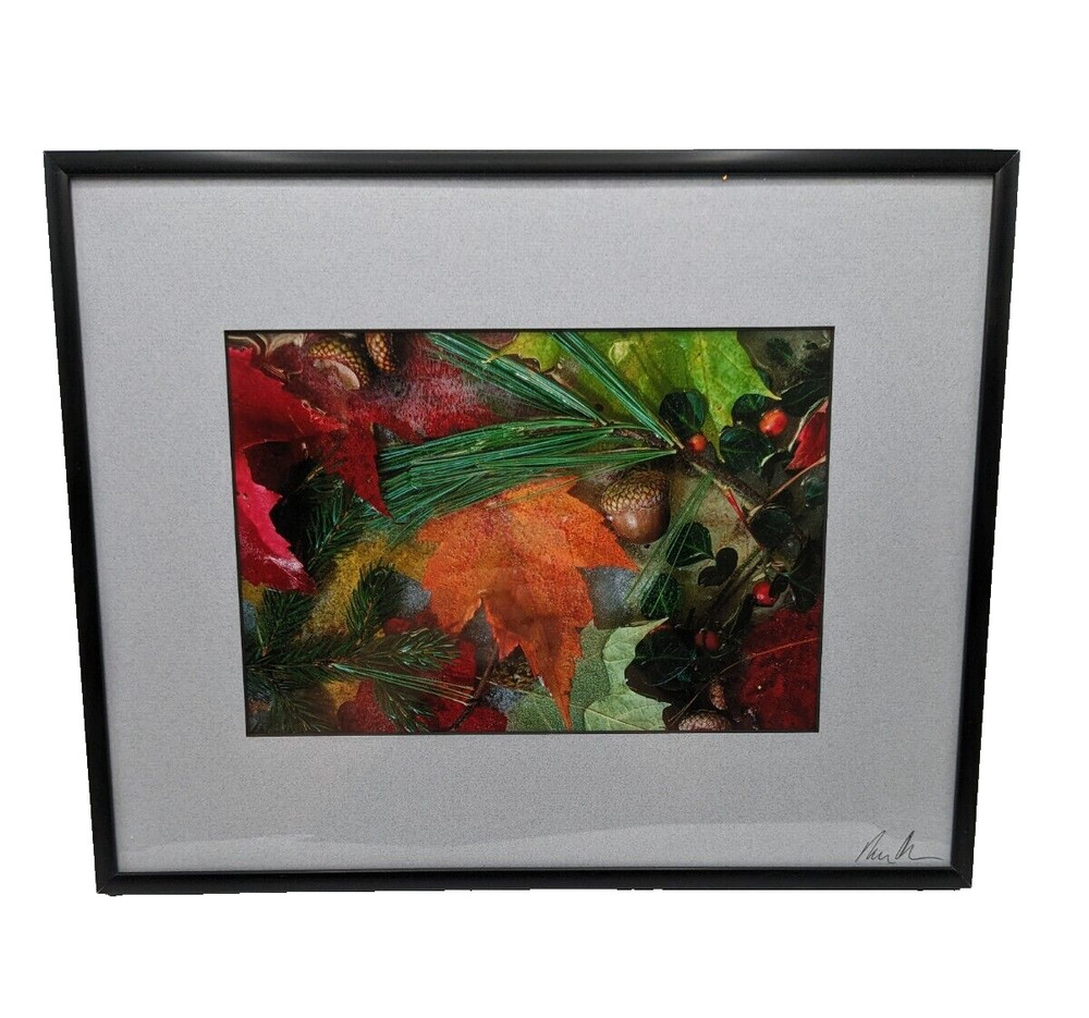 Fall Montage 176 Framed Photography Print Artist Signed Autumn