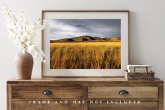 Wichita Mountains Photography Print: Oklahoma Wildlife Refuge Landscape Photo