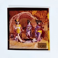Walter Sternicki of Detroit Geisha Model Lot Kodak Medium Format 120 Film VTG
