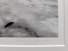 Richard Garrod, gelatin silver B&W photography art original