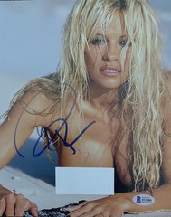 Pamela Anderson – Baywatch & Playmate Hand Signed 8×10 Autograph Beckett COA